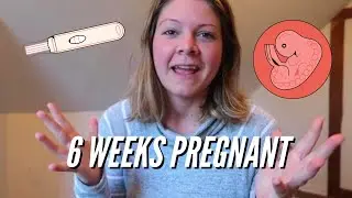 Pregnant with my Third Baby! 6 Weeks Early Pregnancy Symptoms | First Trimester Vlog | Lydia Walker