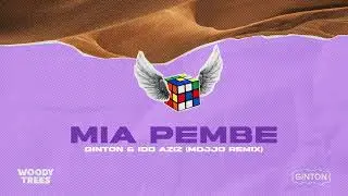 Ginton, Idd Aziz - Mia Pembe (Mojjo Remix)