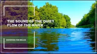The sound of the quiet flow of the river. White Noise Atmosphere For Sleep, Study ✦ Relax Sound