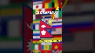 Mais pourquoi les drapeaux sont rectangulaires ??🇳🇵#shorts