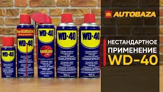 Нестандартное применение WD-40. Где может пригодиться смазка WD-40? Универсальная смазка WD-40.