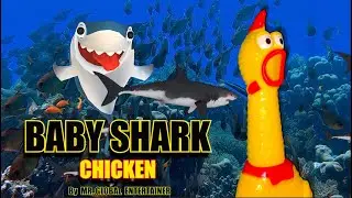 Baby Shark Dance | Chicken Baby Shark | Chicken song | Chicken Dance | Animal Songs | Baby Shark