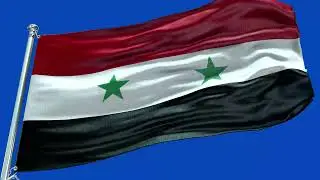 🚩Syria  Flag Waving  | GREEN SCREEN & CHROMA MATTE🚩