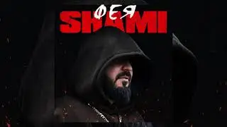 SHAMI - Фея