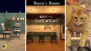 Cat!Cat!Cat! Escape Full Walkthrough 脱出ゲーム 攻略 (Rooms Room)