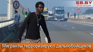 Мигранты терроризируют дальнобойщиков в Кале