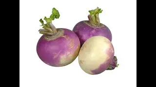 Turnips 101 - Nutrition and Health Benefits