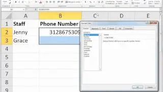 Excel Phone Number Formatting