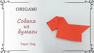 Как сделать собаку из бумаги оригами для начинающих