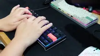 Ducky One 2 Mini - Typing Sound Test (Cherry MX Silent Red)