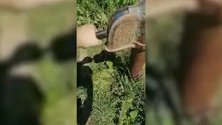 «Это не рай»: село под Волгоградом изнывает без воды
