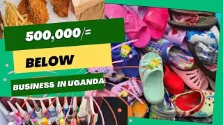 500,000/= uganda shillings or below what  to invest  in