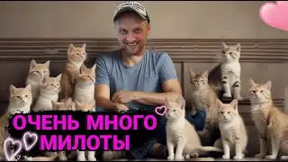 ОЧЕНЬ МИЛЕНЬКИЙ ВИДОС 🥰 | ЗУБАРЕВ | ЗУБАРЕВ В КИТАЕ