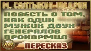 A tale of how one man fed the two generals. Mikhail Saltykov-Shchedrin