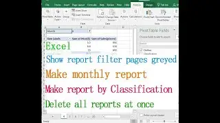 Excel report generator (make monthly report, Show report filter pages greyed out)