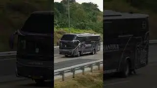 Bus New Shantika #busindonesia #bus #busholic #buspariwisata #buspariwisataindonesia #busmania