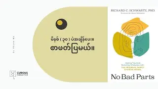 စိတ်ပိုင်းဆိုင်ရာ ကျန်းမာရေးအတွက် ကိုယ့်အတွင်းစိတ်ကို နားထောင်နည်း| No Bad Parts Book Summary