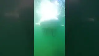 Worlds smallest submarine!