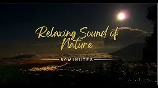 Relaxing Sound of Nature - 30 Minutes Long - Peaceful Night - Nature Therapy