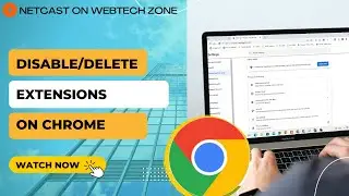 How to Disable Extensions on Chrome Which Temporarily and Permanently