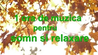 1 ora de muzica pentru somn si relaxare | Muzica relaxanta