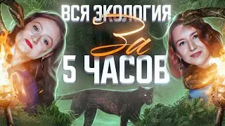 Вся экология за 5 часов | ЕГЭ-2025 по биологии