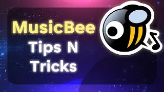 🎵🐝 MusicBee Tips And Tricks