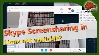 Skype in Linux: screen sharing not available