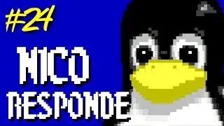 Nico Responde 24