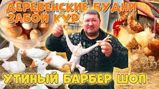 ДЕРЕВЕНСКИЕ БУДНИ