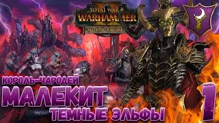 Total War: Warhammer 2 (Легенда) - Темные Эльфы: Малекит #1