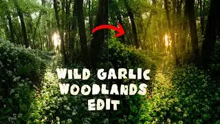 Editing Wild Garlic Woodlands in Lightroom Classic