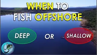 When to Fish Offshore After Bass Spawn | Summer Bass Fishing