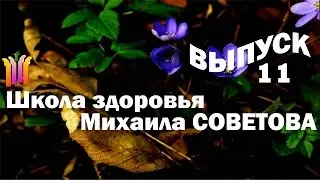 Школа здоровья Михаила СОВЕТОВА ВЫПУСК 11