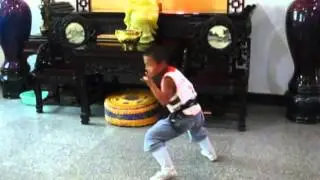 karate kid part 2_ new shaolin action