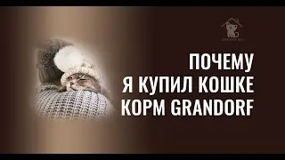 Почему я перевел кошку на корм Grandorf