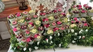 Cupcake Garden