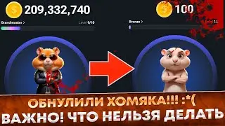 📌 ОБНУЛИЛИ ХОМЯКА HAMSTER KOMBAT❗️ ЧТО НЕЛЬЗЯ ДЕЛАТЬ❗️❓ КАК БЫТЬ ЕСЛИ ОБНУЛИЛИ | НЕ ЗАХОДИТ В ИГРУ