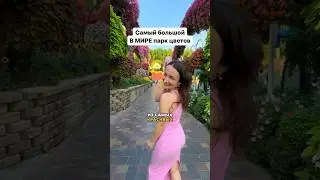 КАК ОНИ ЭТО СДЕЛАЛИ? Самый большой парк в мире 