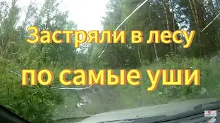 Поехали по бездорожью  на Тойоте Карина и застряли в лесу. Новосибирская область Маслянинский район.