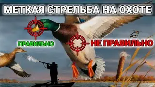 Как СТРЕЛЯТЬ В УТОК без промаха? Научись ПРАВИЛЬНО целиться за 10 минут. Стрельба уток.