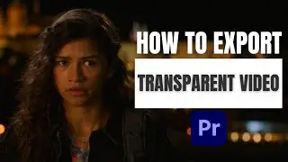 How to Export a Transparent Video in Premiere Pro 2024