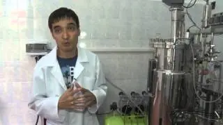 ферментёр