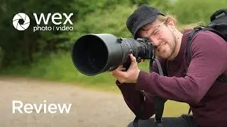 Review | The Nikon Z6 III Camera at Knepp Wildland Safari