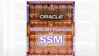 Oracle’s Software in Silicon Technology: Silicon Secured Memory (SSM)