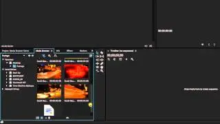 Premiere Pro Tutorials - Media Browser Part 1