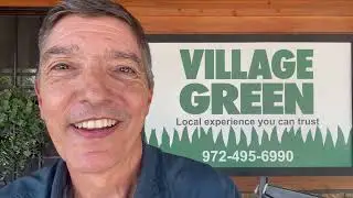 Mosquito Control that Actually Works: Our Village Green Experience