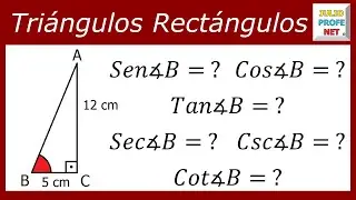 FUNCIONES TRIGONOMÉTRICAS EN UN TRIÁNGULO RECTÁNGULO