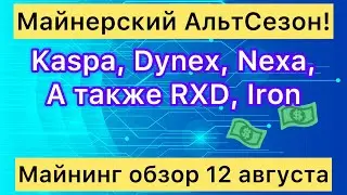 МАЙНЕРСКИЙ АЛЬТСЕЗОН ! KASPA, DYNEX, NEXA, RADIANT, NEXA // МАЙНИНГ ОБЗОР 12 АВГУСТА