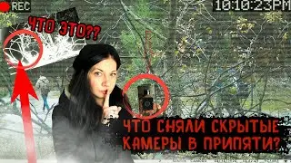 Что сняли скрытые камеры в Припяти и кто попался на фотоловушку - полная версия видео